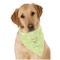 Margarita Lover Dog Bandana Scarf w/ Name or Text