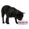 Logo & Tag Line Plastic Pet Bowls - Medium - LIFESTYLE
