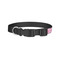 Linked Squares Dog Collar - Small - Back