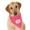 Pink & Orange Chevron Dog Bandana Scarf w/ Monogram