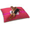 Pink & Orange Chevron Dog Bed - Small LIFESTYLE