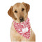 Swirl Dog Bandana Scarf w/ Name and Initial