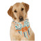 Orange Blue Swirls & Stripes Bandana - On Dog