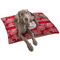 Coral Dog Bed - Large LIFESTYLE