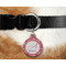 Coral Round Pet Tag on Collar & Dog