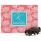 Coral & Teal Dog Blanket - Large (Personalized)