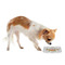 Floral Antler Plastic Pet Bowls - Small - LIFESTYLE