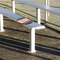 Unicorns Stadium Cushion (In Stadium)