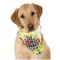 Softball Dog Bandana Scarf w/ Name or Text