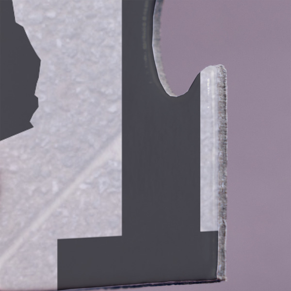 Home State Jigsaw Puzzle 30 Piece  - Close Up