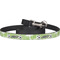 Soccer Dog Leash (Personalized)