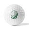 Golf Golf Balls - Generic - Set of 12 - FRONT