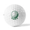 Golf Golf Balls - Titleist - Set of 12 - FRONT