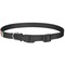 Superhero in the City Dog Collar - Large - Back
