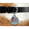 Superhero in the City Round Pet Tag on Collar & Dog