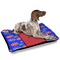 Superhero Outdoor Dog Beds - Large - IN CONTEXT