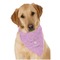 Doctor Avatar Dog Bandana Scarf w/ Name or Text