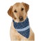 Medical Doctor Dog Bandana Scarf w/ Name or Text