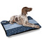 Medical Doctor Outdoor Dog Beds - Large - IN CONTEXT