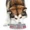 Red & Gray Dots and Plaid Plastic Pet Bowls - Large - LIFESTYLE