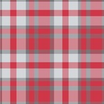 Red & Gray Plaid Wallpaper & Surface Covering (Water Activated 24"x 24" Sample)