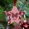 Polka Dot Butterfly Metal Star Ornament - Lifestyle