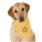 Halloween Pumpkin Dog Bandana Scarf w/ Name or Text
