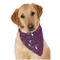 Witches On Halloween Dog Bandana Scarf w/ Name or Text