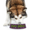 Witches On Halloween Plastic Pet Bowls - Large - LIFESTYLE