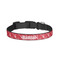 Crawfish Dog Collar - Large (Personalized)