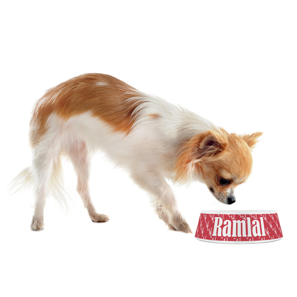 Crawfish Plastic Pet Bowls - Small - LIFESTYLE