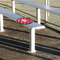 Crawfish Stadium Cushion (In Stadium)