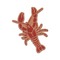 Crawfish Wooden Sticker Medium Color - Main