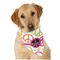 Peace Sign Bandana - On Dog