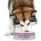 Harlequin & Peace Signs Plastic Pet Bowls - Large - LIFESTYLE