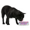 Harlequin & Peace Signs Plastic Pet Bowls - Medium - LIFESTYLE
