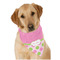 Pink & Green Dots Bandana - On Dog