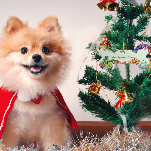 Succulents Ceramic Flat Ornament - Bone (LIFESTYLE)