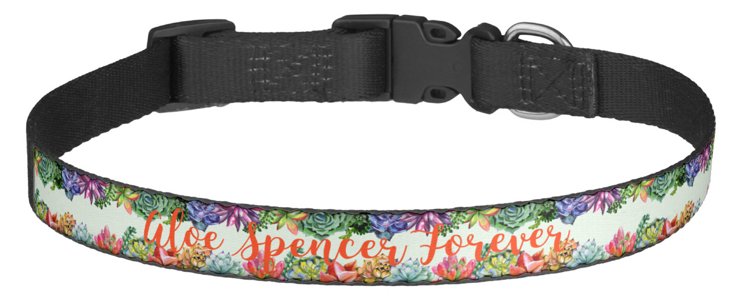 succulent dog collar
