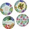 Succulents Set of Lunch / Dinner Plates