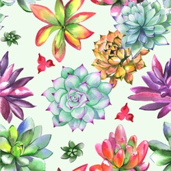 Succulents Wallpaper & Surface Covering (Water Activated 24"x 24" Sample)