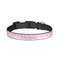 Zebra & Floral Dog Collar - Small - Front