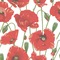 Poppies Wallpaper Square