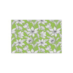 Wild Daisies Tissue Paper Sheets - Small - Heavyweight