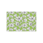 Wild Daisies Tissue Paper Sheets - Small - Lightweight