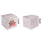 Chipmunk Couple Cubic Gift Box - Approval