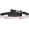 Chipmunk Couple Dog Leash (Personalized)