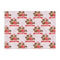 Chipmunk Couple Tissue Paper - Heavyweight - Large - Front