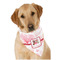 Hearts & Bunnies Dog Bandana Scarf w/ Couple's Names