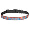 Blue Parrot Dog Collar (Personalized)